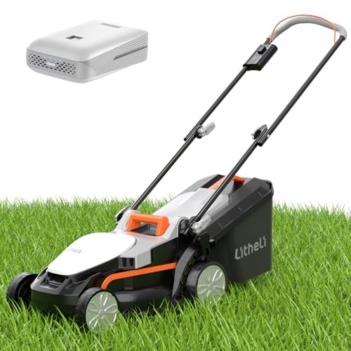Best Electric Lawn Mower for Large Garden