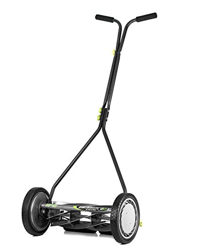 Best Reel Lawn Mower for Zoysia Grass