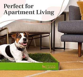 Can Dog Worms Live on Furniture