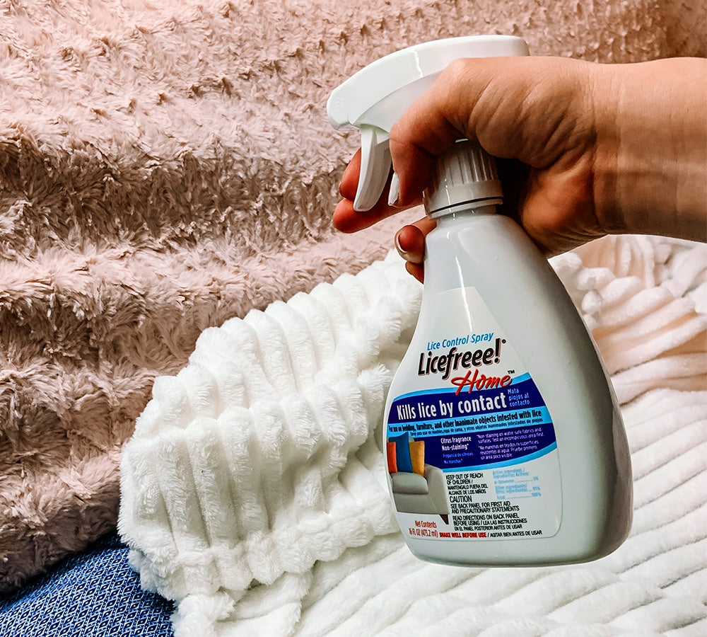 Can Lice Eggs Live on Furniture - Dryer Enthusiast