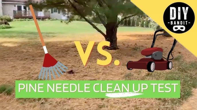 Can You Mulch Pine Needles With Lawn Mower
