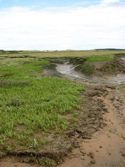 annual sediment inspection