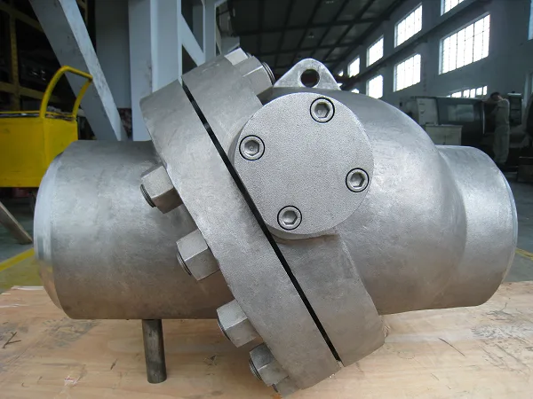 check valve