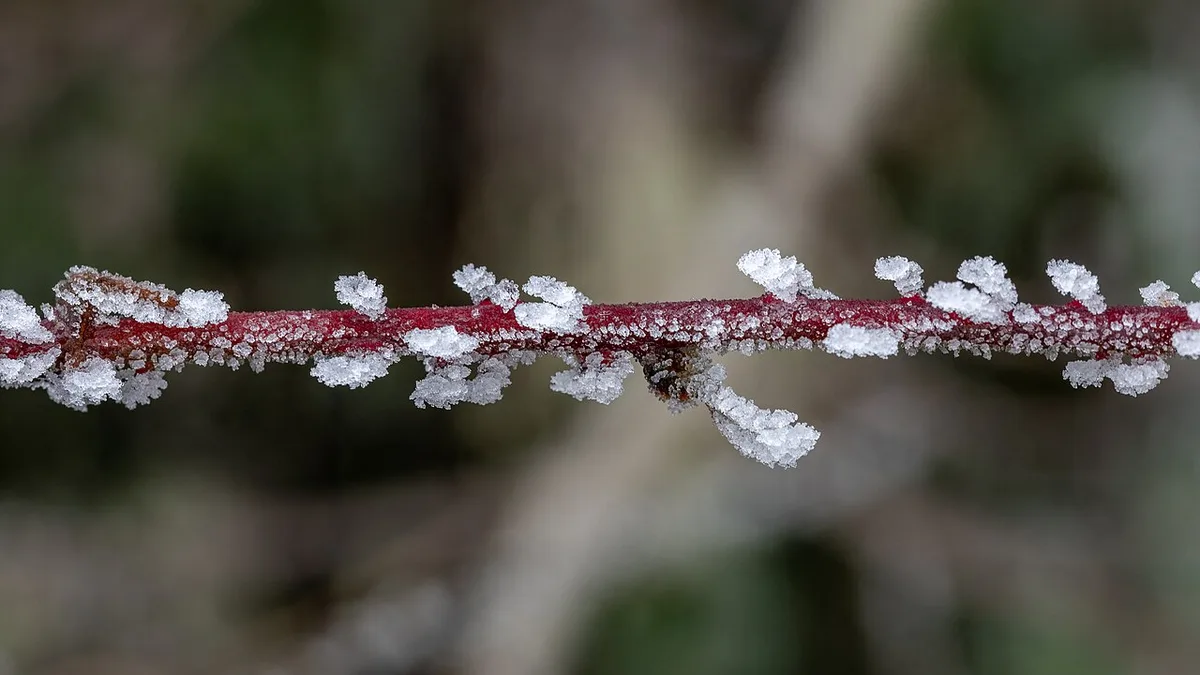 frost depth